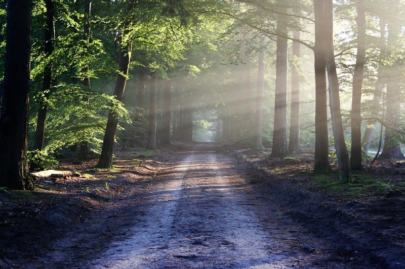 Meditative Walking